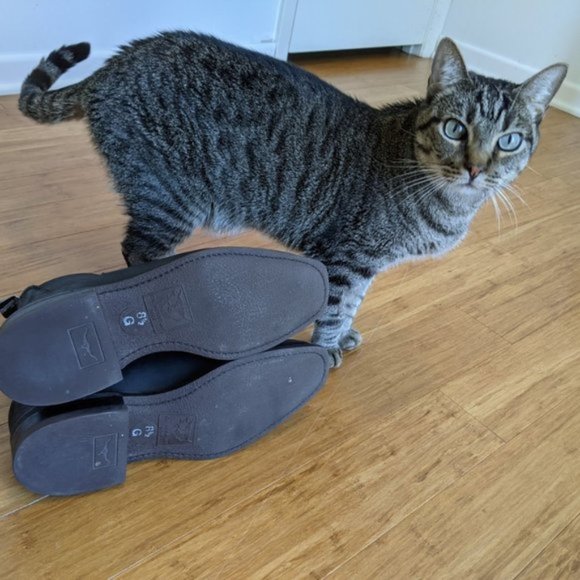 Meet your Posher, R. - Picture 10 of 11